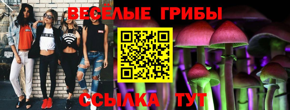 Галлюциногенные грибы прущие грибы Печора
