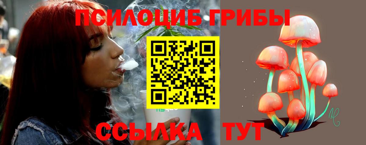 Печора  Псилоцибиновые грибы мухоморы  Вход с VPN 